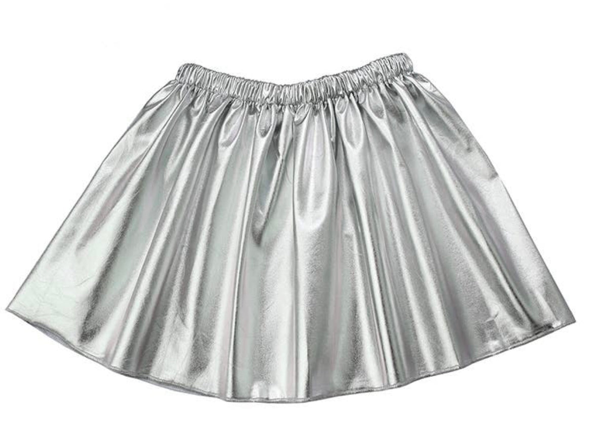 Silver Metallic Skirt